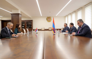 ՍՈՒՐԵՆ ՊԱՊԻԿՅԱՆՆ ԸՆԴՈՒՆԵԼ Է ՍԵՐԲԻԱՅԻ ԴԵՍՊԱՆԻՆ